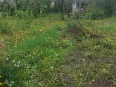 Parduodamas 6 a. sodo sklyp Rastinėnai prie Neries - nuotraukos Nr. 3