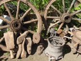 Buities rakandai