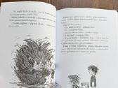 Auklė baubas - Tuutikki Tolonen - nuotraukos Nr. 6