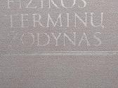 Fizikos terminų žodynas.
