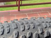 Schwable Racing Ralph+ Racing Ray 29x2.25 padangos - nuotraukos Nr. 3