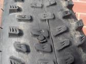 Schwable Racing Ralph+ Racing Ray 29x2.25 padangos - nuotraukos Nr. 5