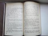 I. Šeinius. Raudonasis tvanas - nuotraukos Nr. 8