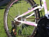 Interbike calypso 13.5" 24"ratai - nuotraukos Nr. 5