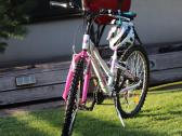 Interbike calypso 13.5" 24"ratai - nuotraukos Nr. 10