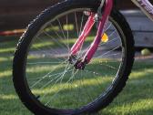 Interbike calypso 13.5" 24"ratai - nuotraukos Nr. 11