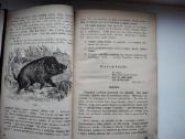 P. Šinkūnas. Geografijos vadovėlis. 1936 m. - nuotraukos Nr. 8