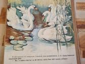 Bjaurusis ančiukas - nuotraukos Nr. 5