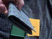Goyard pinigine - nuotraukos Nr. 7