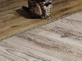 Patyręs bengalas ieško panelių - nuotraukos Nr. 10
