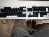 Keycaps Mx Cherry profilio (Peršviečiami)