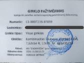 Kombinuotas šautuvas Izh 94 - nuotraukos Nr. 4