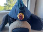 Kolekcionavimas
