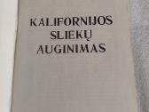 Kalifornijos sliekų auginimas - nuotraukos Nr. 2