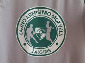 Sportiniai ilgom rankovėm marškinėliai Žalgiris - nuotraukos Nr. 3