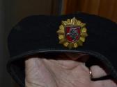 Antro pulko berete