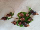 Achatina sraigės - jaunikliai, 7 mėnesių, 7-8 cm - nuotraukos Nr. 3