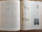 Knyga bitininko žinynas - nuotraukos Nr. 3