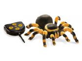 Tarantulas valdomas radijo bangom Buki - nuotraukos Nr. 2