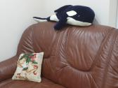 Sofa - nuotraukos Nr. 4