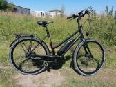 Elektrinis dviratis Batavus Harlem Garantija - nuotraukos Nr. 5