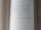 Ann Brashares "Antroji seserijos vasara" - nuotraukos Nr. 9