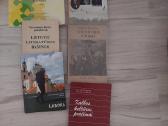 Knygos lietuvių literatūros mokymui - nuotraukos Nr. 2
