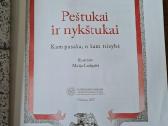 Peštukai ir nykštukai (Kazys Saja) - nuotraukos Nr. 5