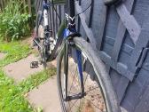 Felt Fr30 - nuotraukos Nr. 4