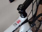 Boardman Team Carbon XL - nuotraukos Nr. 7