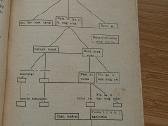Knyga. Jaunuomenės karinis rengimas svetur 1938 - nuotraukos Nr. 7