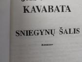 Yasunari Kawabata-sniegynų šalis - nuotraukos Nr. 2