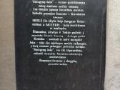 Yasunari Kawabata-sniegynų šalis - nuotraukos Nr. 3