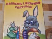 Rankos lavinimo pratybos