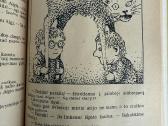 Knyga Danuko Dunduliuko nuotykiai - nuotraukos Nr. 3