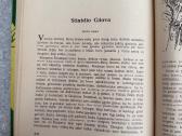 Knyga "Šaltoji Širdis" - nuotraukos Nr. 3