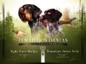 Vokiečių dratharai - nuotraukos Nr. 2