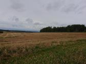 Parduodu zemes ukio zeme 1,55 ha.saltinio g. - nuotraukos Nr. 7