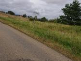 Parduodu Satiju km. zemes ukio 1,55 ha.saltinio g. - nuotraukos Nr. 8