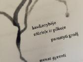 Poetinių miniatiūrų knyga „Akmenukai batuose“ - nuotraukos Nr. 2
