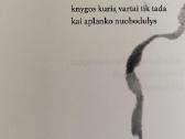 Poetinių miniatiūrų knyga „Akmenukai batuose“ - nuotraukos Nr. 3