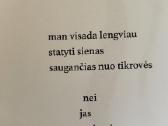Poetinių miniatiūrų knyga „Akmenukai batuose“ - nuotraukos Nr. 4