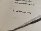 Poetinių miniatiūrų knyga „Akmenukai batuose“ - nuotraukos Nr. 5