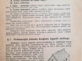 "Perkūnsargiai" 1930m J Šliogeris - nuotraukos Nr. 3