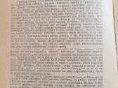 "Perkūnsargiai" 1930m J Šliogeris - nuotraukos Nr. 5