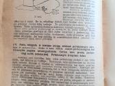 "Perkūnsargiai" 1930m J Šliogeris - nuotraukos Nr. 6