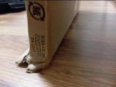 Naujos durys Ikea Pax spintai 50x229 - nuotraukos Nr. 5