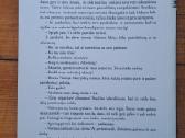 Valentinas Klimašauskas AlfaVilnius - nuotraukos Nr. 2