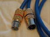 Cardas Audio Clear Light 2-xlr Balanced kabelis-1m - nuotraukos Nr. 2