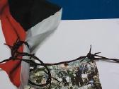 Išvaduotojas